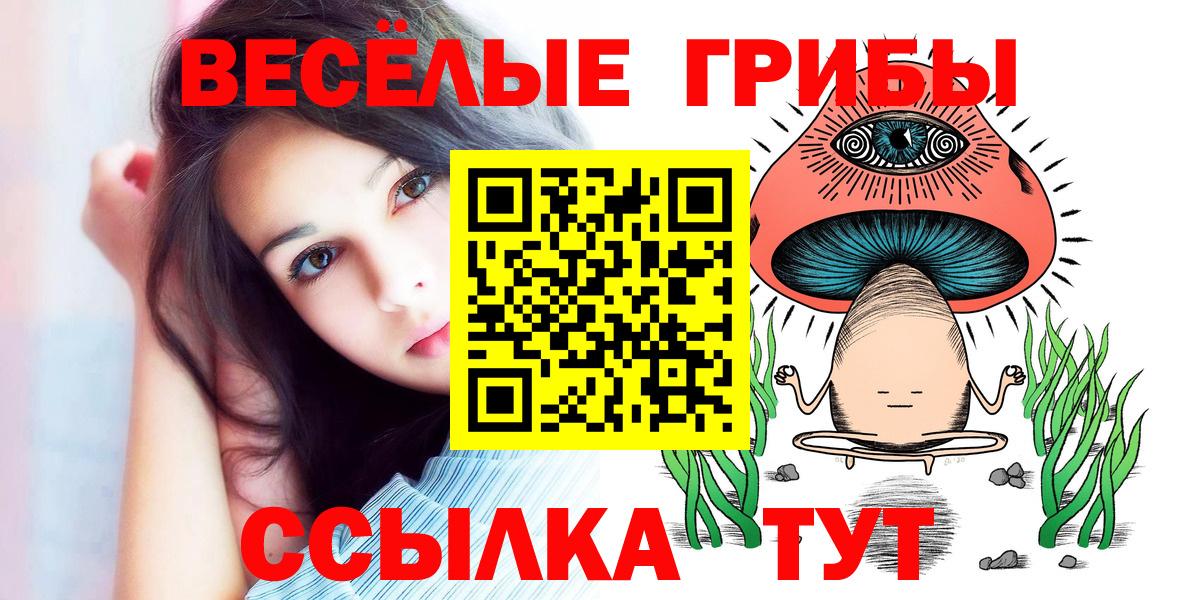 Псилоцибиновые грибы мицелий Пыть-Ях